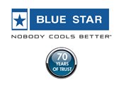 Blue Star - Enterprise Electro Mechanical Division